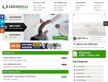 Tablet Screenshot of catchskills.com
